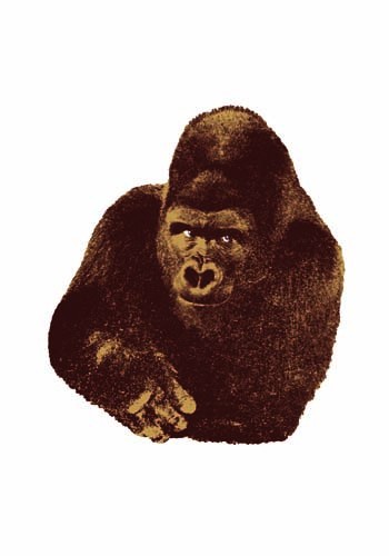 Quindici, IL Gorilla by Danese Artemide Design Accessories